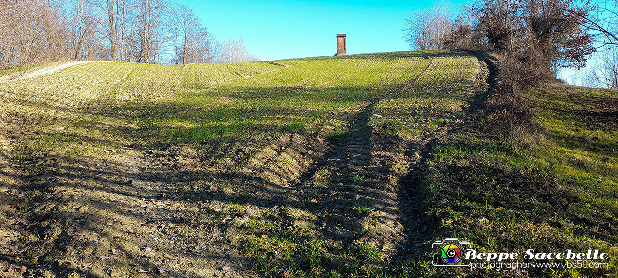 20230110_151401 - Dalla terra... il grano.jpg